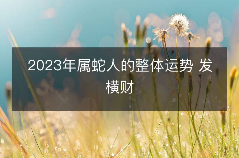 2023年屬蛇人的整體運勢 發橫財