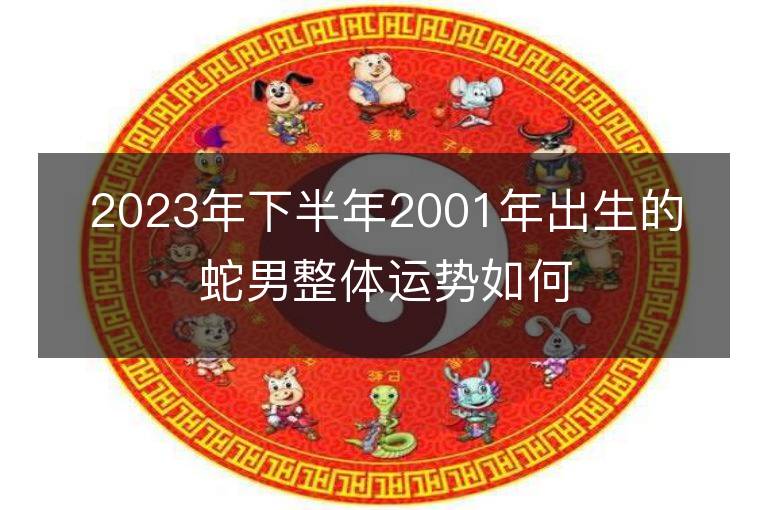 2023年下半年2001年出生的蛇男整體運勢如何