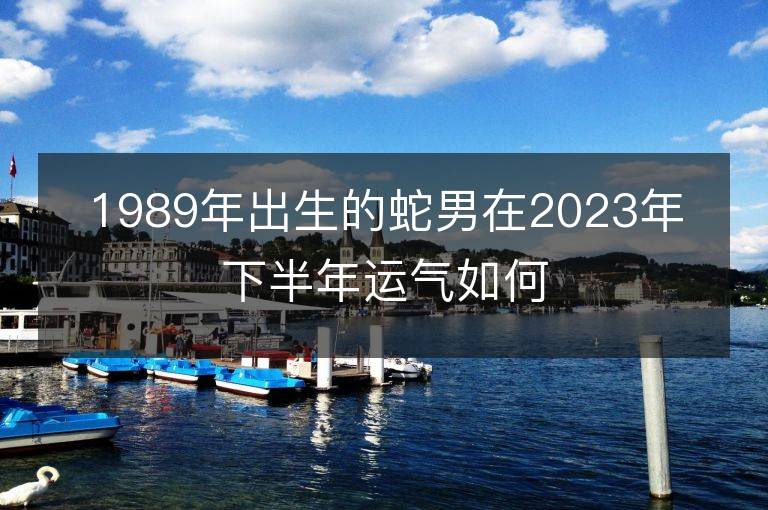 1989年出生的蛇男在2023年下半年運氣如何