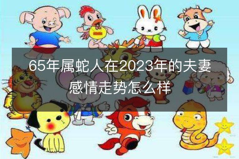 65年屬蛇人在2023年的夫妻感情走勢怎么樣