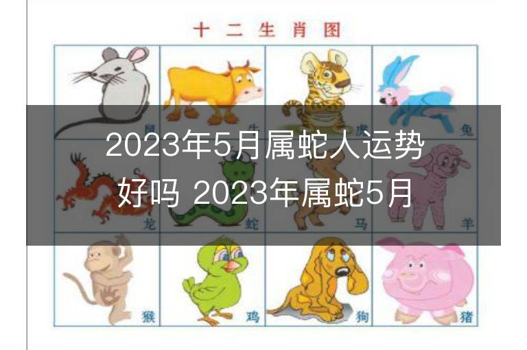 2023年5月屬蛇人運勢好嗎 2023年屬蛇5月運程如何