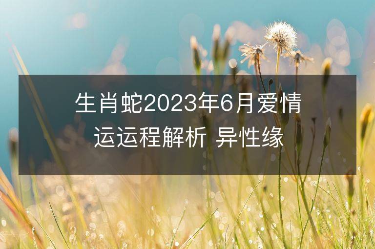 生肖蛇2023年6月愛情運運程解析 異性緣好脫單容易