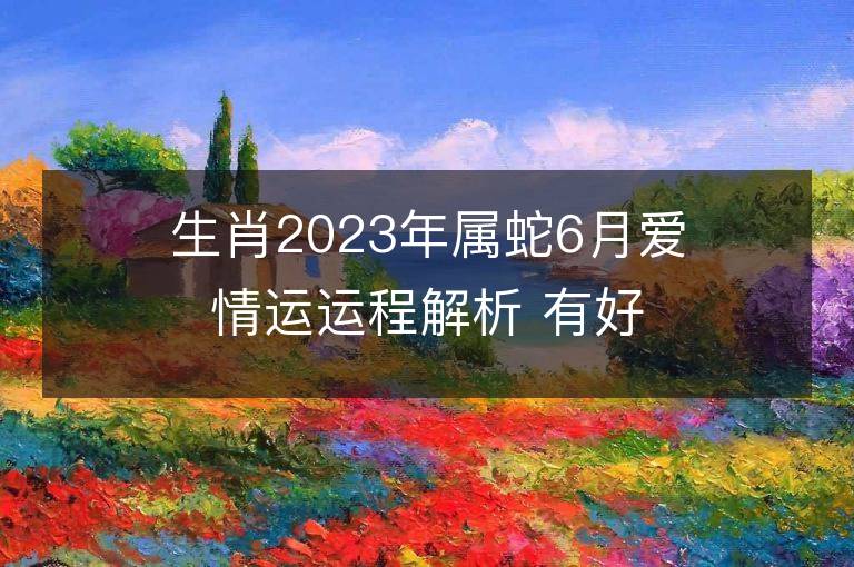 生肖2023年屬蛇6月愛情運(yùn)運(yùn)程解析 有好的姻緣嗎