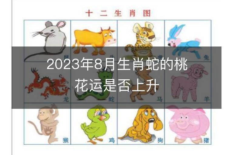 2023年8月生肖蛇的桃花運是否上升