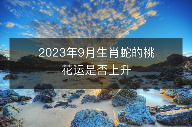 2023年9月生肖蛇的桃花運是否上升