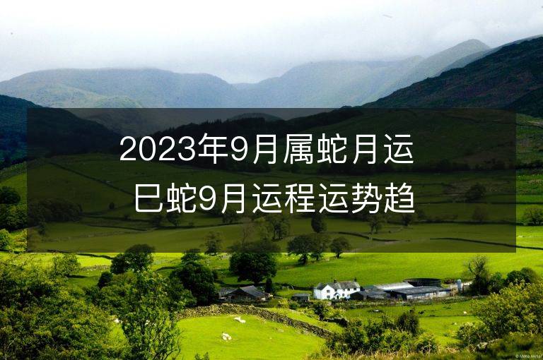 2023年9月屬蛇月運 巳蛇9月運程運勢趨勢詳解