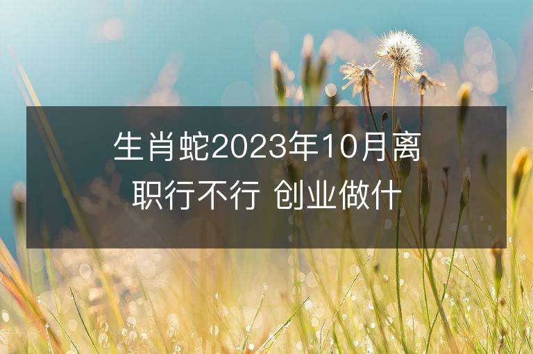 生肖蛇2023年10月離職行不行 創業做什么能夠發財