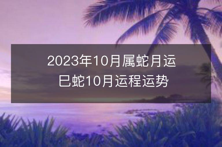 2023年10月屬蛇月運 巳蛇10月運程運勢趨勢詳解