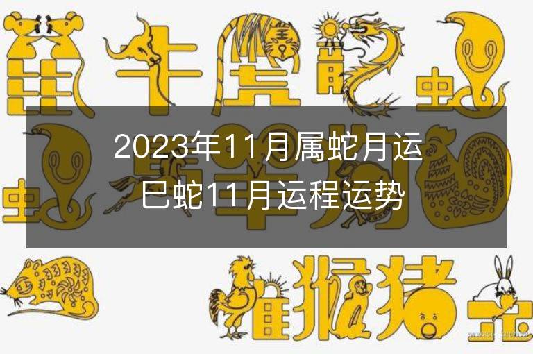 2023年11月屬蛇月運 巳蛇11月運程運勢趨勢詳解