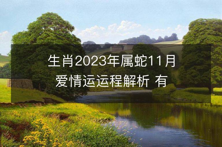 生肖2023年屬蛇11月愛情運運程解析 有好的姻緣嗎