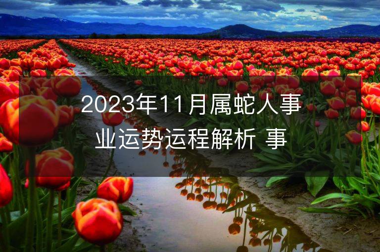 2023年11月屬蛇人事業運勢運程解析 事業方位在哪里