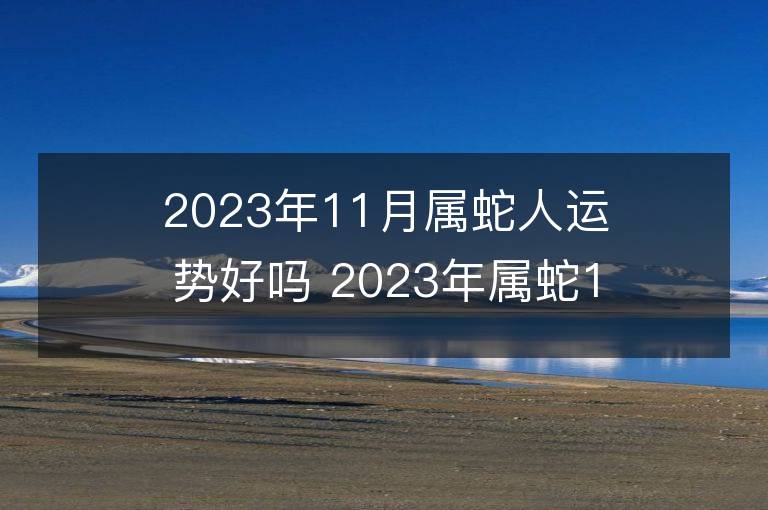 2023年11月屬蛇人運勢好嗎 2023年屬蛇11月運程如何