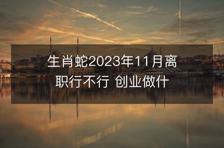 生肖蛇2023年11月離職行不行 創業做什么能夠發財