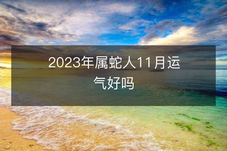 2023年屬蛇人11月運氣好嗎