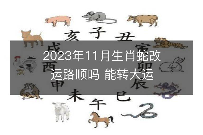 2023年11月生肖蛇改運路順嗎 能轉大運嗎