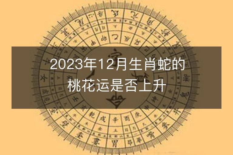 2023年12月生肖蛇的桃花運是否上升