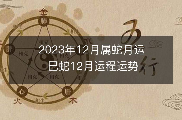 2023年12月屬蛇月運 巳蛇12月運程運勢趨勢詳解