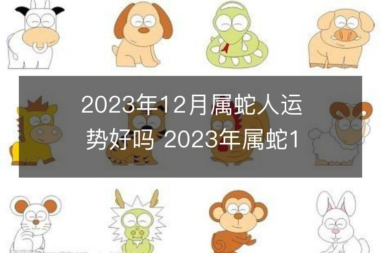 2023年12月屬蛇人運勢好嗎 2023年屬蛇12月運程如何