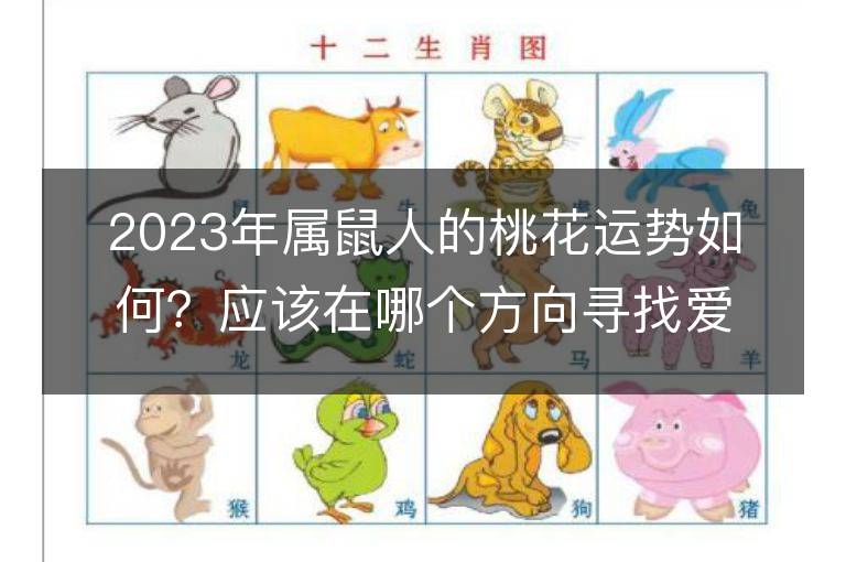 2023年屬鼠人的桃花運勢如何？應該在哪個方向尋找愛情？