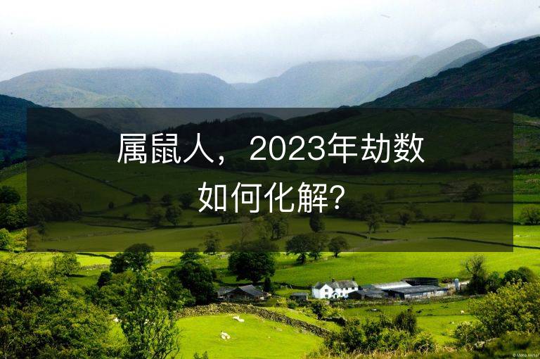 屬鼠人，2023年劫數如何化解？