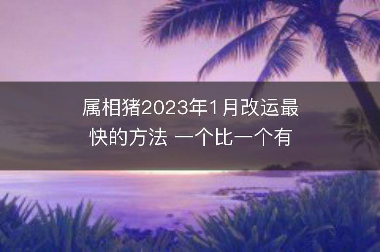 屬相豬2023年1月改運最快的方法 一個比一個有效