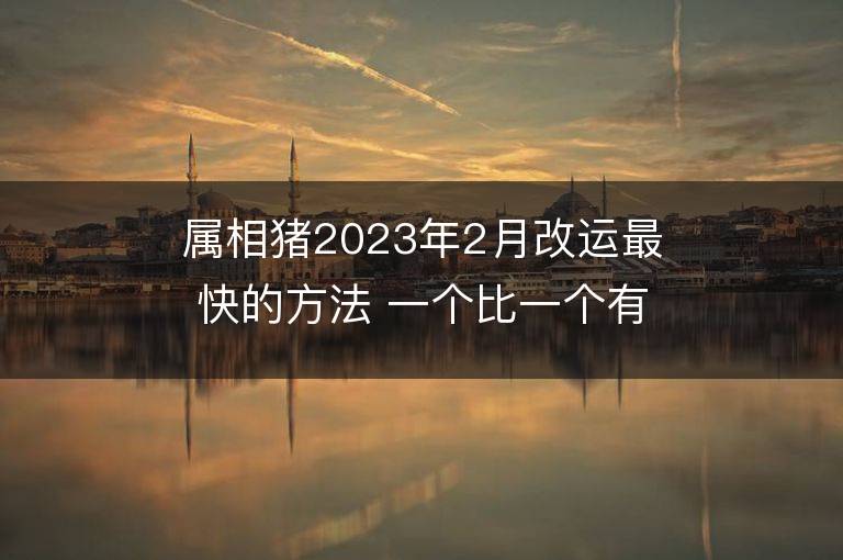 屬相豬2023年2月改運(yùn)最快的方法 一個(gè)比一個(gè)有效