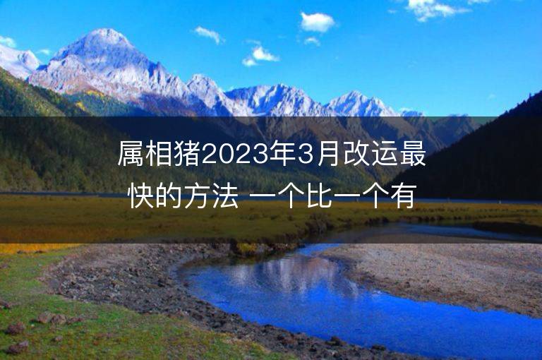 屬相豬2023年3月改運最快的方法 一個比一個有效