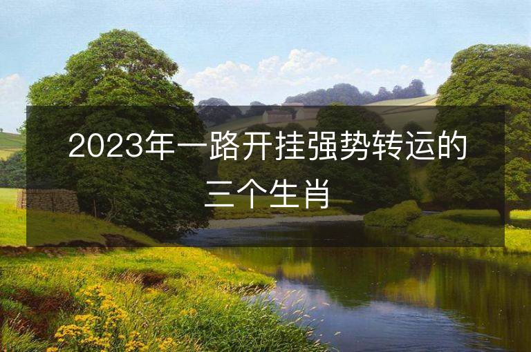 2023年一路開掛強勢轉運的三個生肖