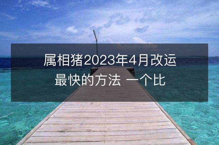 屬相豬2023年4月改運最快的方法 一個比一個有效