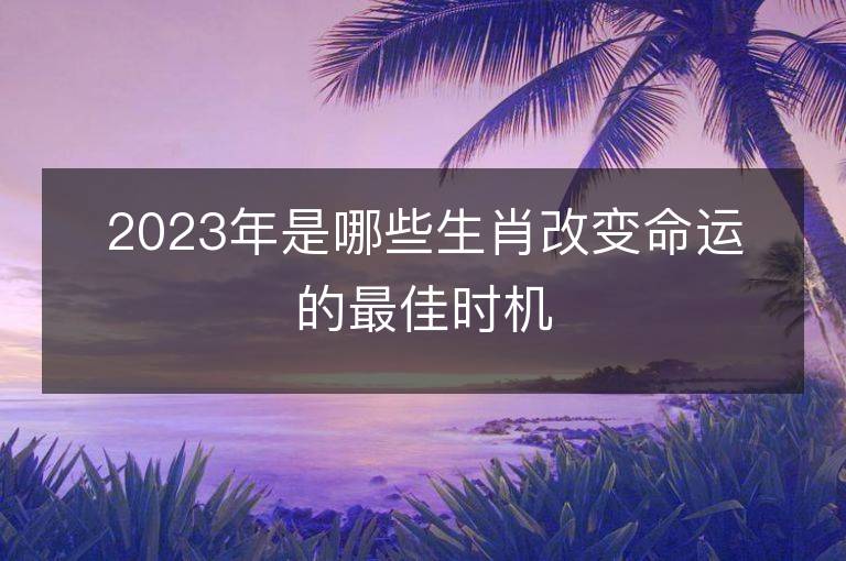 2023年是哪些生肖改變命運的最佳時機