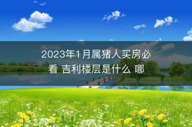 2023年1月屬豬人買房必看 吉利樓層是什么 哪個方向最旺