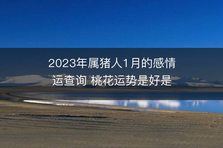 2023年屬豬人1月的感情運查詢 桃花運勢是好是壞