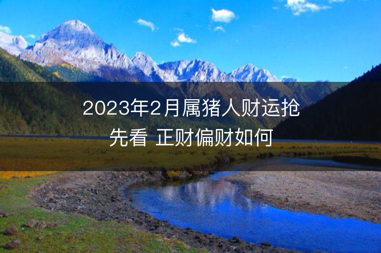 2023年2月屬豬人財運搶先看 正財偏財如何