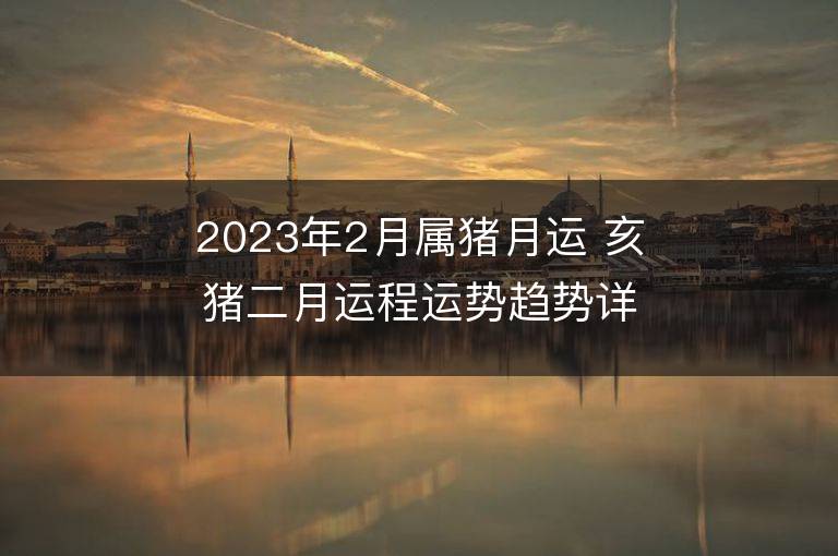 2023年2月屬豬月運 亥豬二月運程運勢趨勢詳解