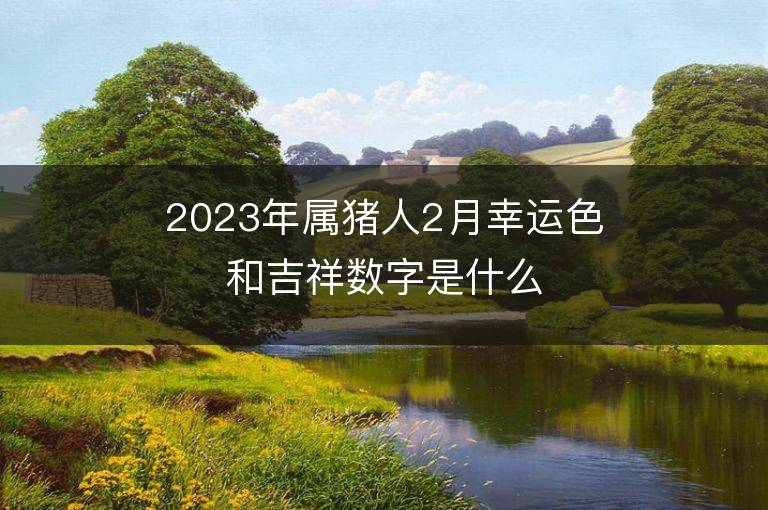 2023年屬豬人2月幸運色和吉祥數字是什么