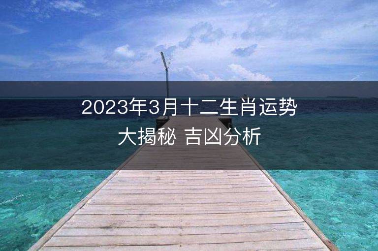 2023年3月十二生肖運勢大揭秘 吉兇分析