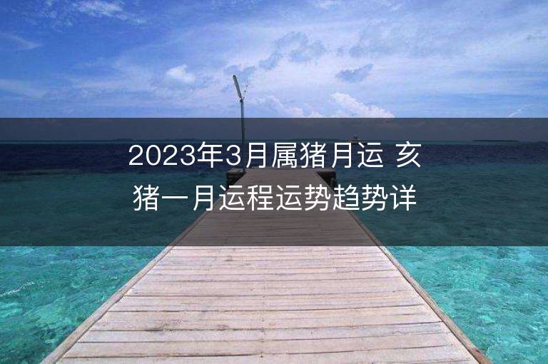 2023年3月屬豬月運 亥豬一月運程運勢趨勢詳解