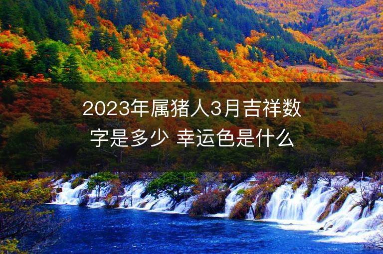 2023年屬豬人3月吉祥數字是多少 幸運色是什么