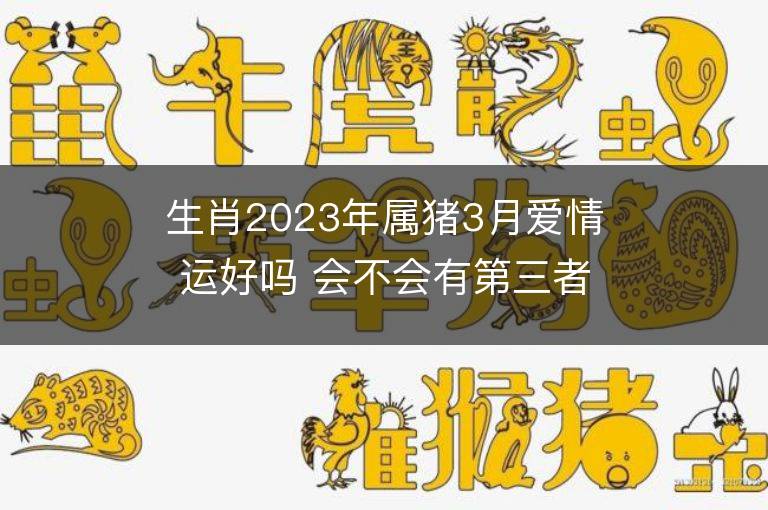 生肖2023年屬豬3月愛情運好嗎 會不會有第三者出現