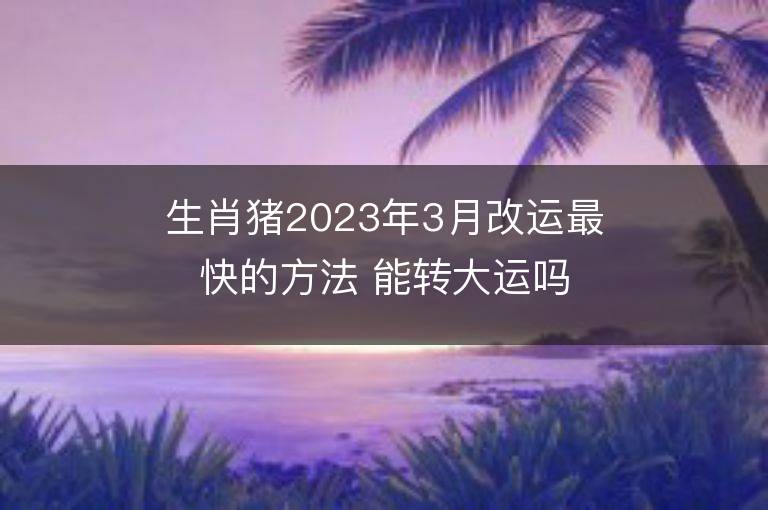 生肖豬2023年3月改運最快的方法 能轉大運嗎