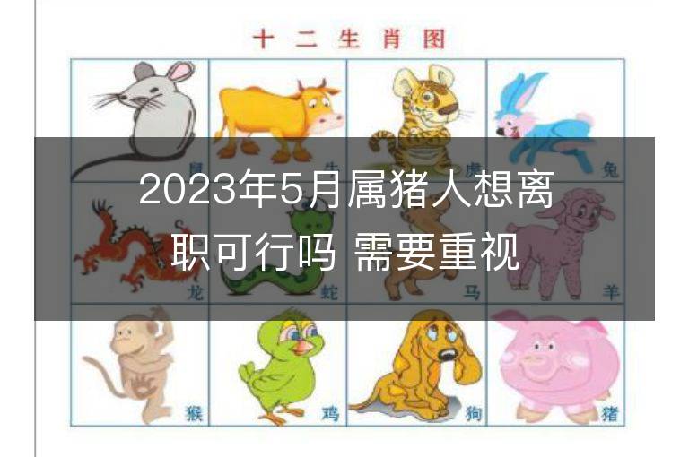 2023年5月屬豬人想離職可行嗎 需要重視哪些問題