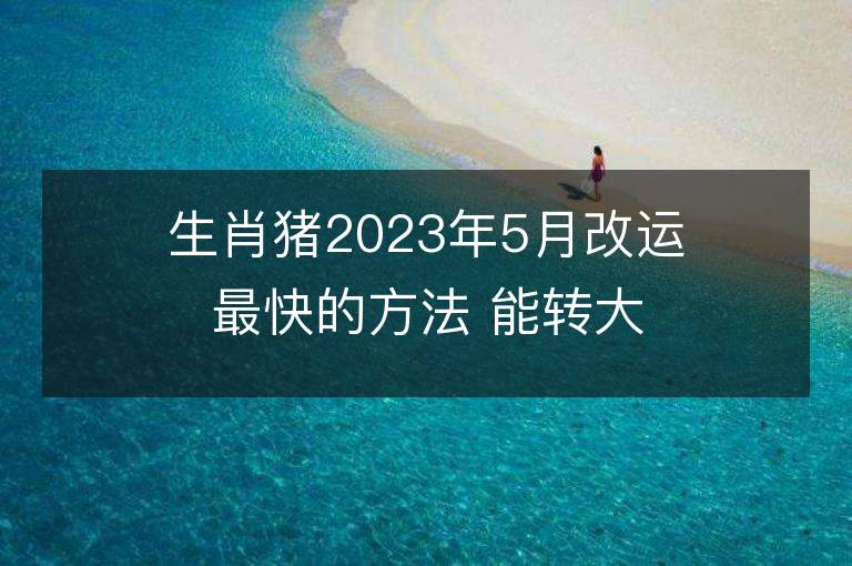 生肖豬2023年5月改運最快的方法 能轉大運嗎