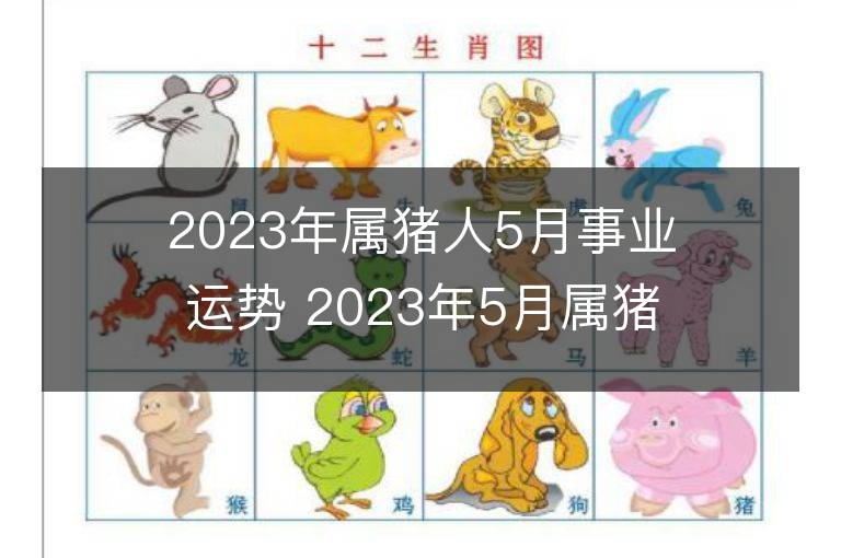 2023年屬豬人5月事業運勢 2023年5月屬豬人事業運程詳解