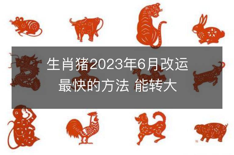 生肖豬2023年6月改運最快的方法 能轉大運嗎