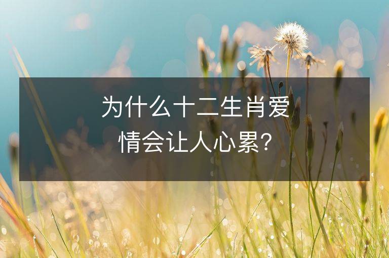 為什么十二生肖愛情會讓人心累？