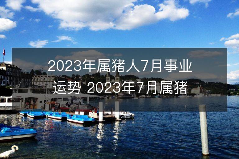 2023年屬豬人7月事業運勢 2023年7月屬豬人事業運程詳解