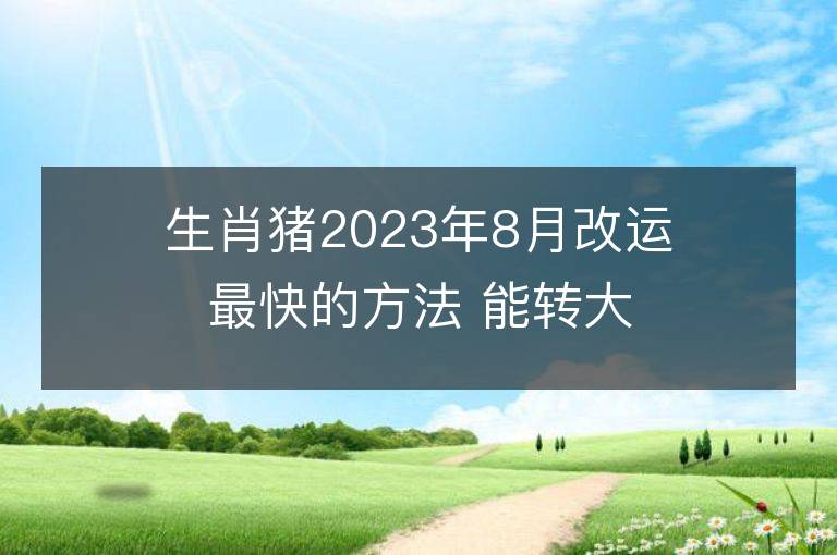 生肖豬2023年8月改運最快的方法 能轉大運嗎