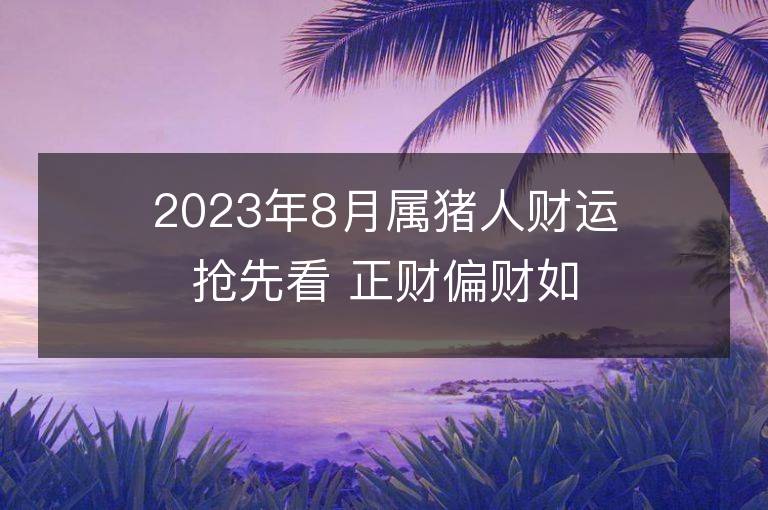 2023年8月屬豬人財運搶先看 正財偏財如何