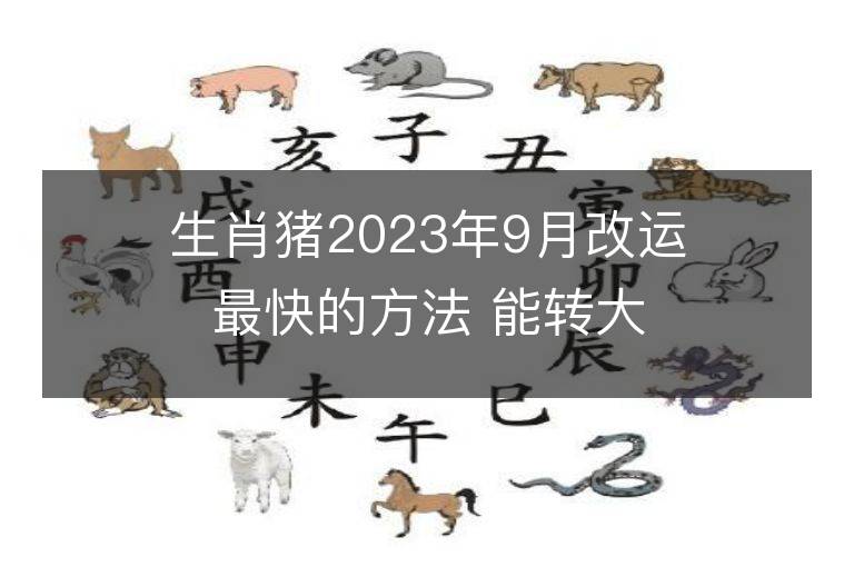 生肖豬2023年9月改運最快的方法 能轉大運嗎