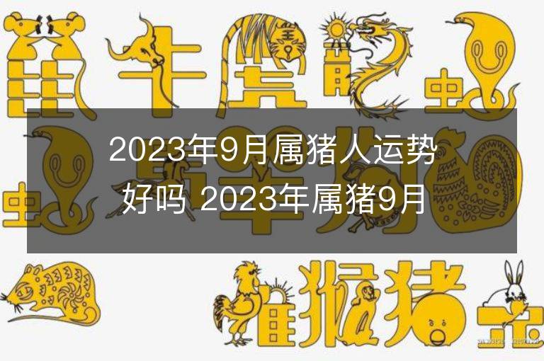 2023年9月屬豬人運勢好嗎 2023年屬豬9月運程如何